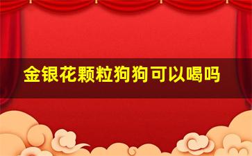 金银花颗粒狗狗可以喝吗