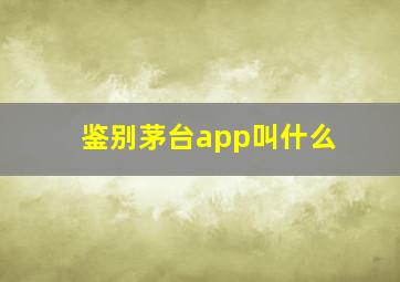 鉴别茅台app叫什么