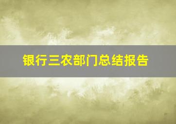 银行三农部门总结报告