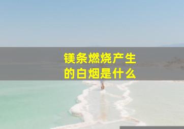 镁条燃烧产生的白烟是什么