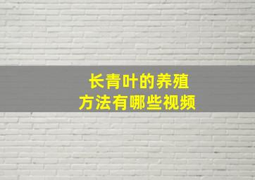 长青叶的养殖方法有哪些视频