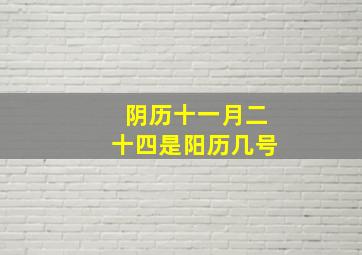 阴历十一月二十四是阳历几号