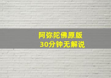 阿弥陀佛原版30分钟无解说