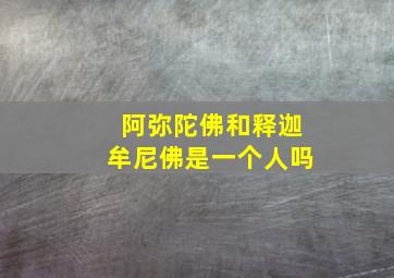 阿弥陀佛和释迦牟尼佛是一个人吗