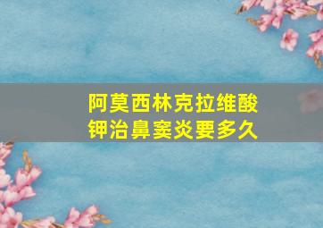 阿莫西林克拉维酸钾治鼻窦炎要多久