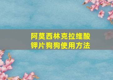 阿莫西林克拉维酸钾片狗狗使用方法