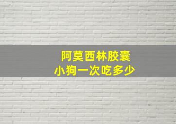 阿莫西林胶囊小狗一次吃多少