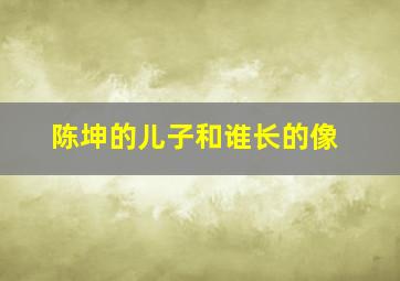 陈坤的儿子和谁长的像