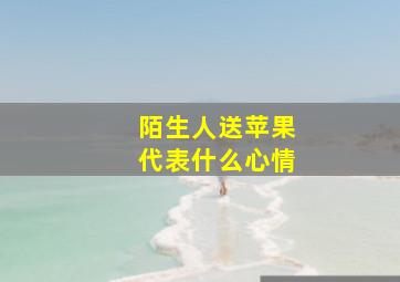 陌生人送苹果代表什么心情