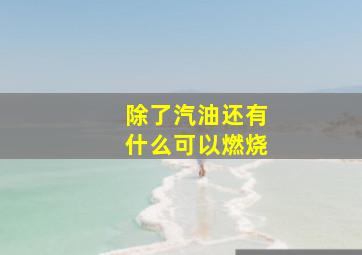 除了汽油还有什么可以燃烧