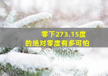 零下273.15度的绝对零度有多可怕