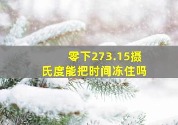 零下273.15摄氏度能把时间冻住吗