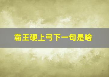 霸王硬上弓下一句是啥