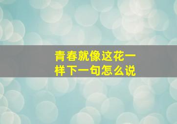 青春就像这花一样下一句怎么说