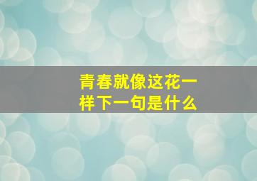 青春就像这花一样下一句是什么