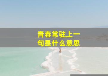 青春常驻上一句是什么意思