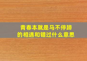 青春本就是马不停蹄的相遇和错过什么意思