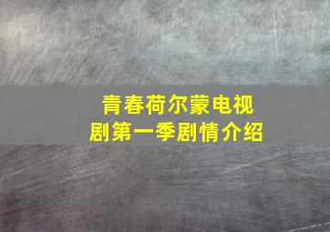 青春荷尔蒙电视剧第一季剧情介绍