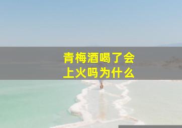 青梅酒喝了会上火吗为什么