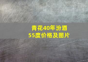 青花40年汾酒55度价格及图片