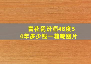 青花瓷汾酒48度30年多少钱一箱呢图片