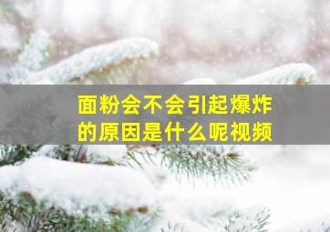 面粉会不会引起爆炸的原因是什么呢视频