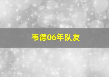 韦德06年队友