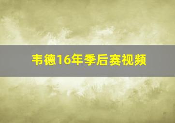 韦德16年季后赛视频