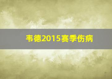 韦德2015赛季伤病