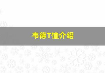 韦德T恤介绍