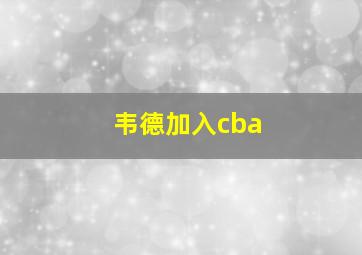 韦德加入cba