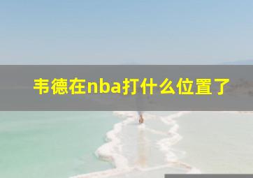 韦德在nba打什么位置了