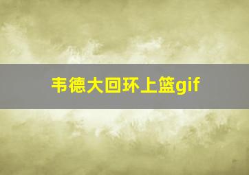 韦德大回环上篮gif