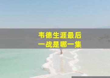 韦德生涯最后一战是哪一集