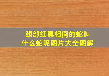 颈部红黑相间的蛇叫什么蛇呢图片大全图解