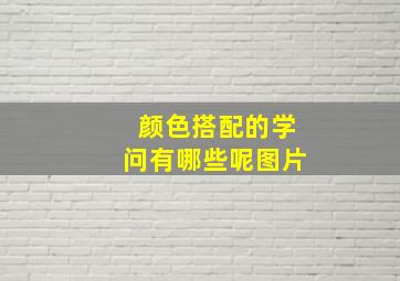 颜色搭配的学问有哪些呢图片