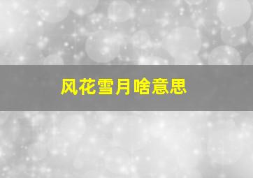 风花雪月啥意思