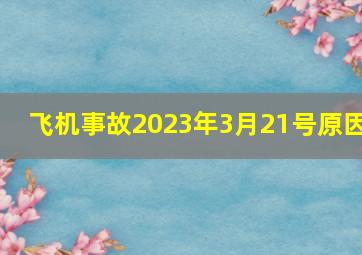 飞机事故2023年3月21号原因