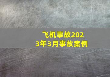 飞机事故2023年3月事故案例