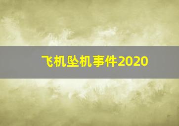 飞机坠机事件2020