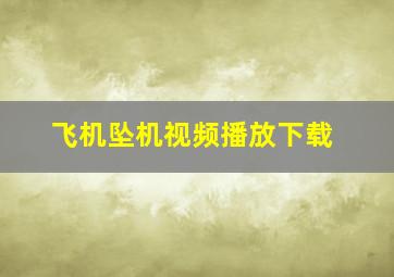 飞机坠机视频播放下载