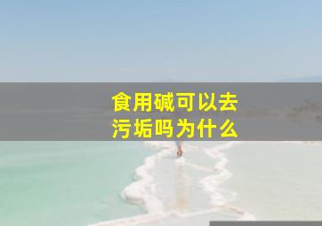 食用碱可以去污垢吗为什么