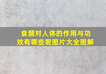 食醋对人体的作用与功效有哪些呢图片大全图解