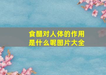 食醋对人体的作用是什么呢图片大全