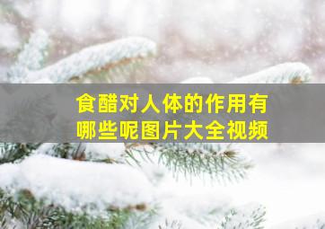 食醋对人体的作用有哪些呢图片大全视频