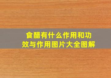 食醋有什么作用和功效与作用图片大全图解