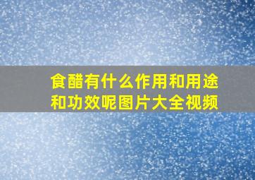 食醋有什么作用和用途和功效呢图片大全视频