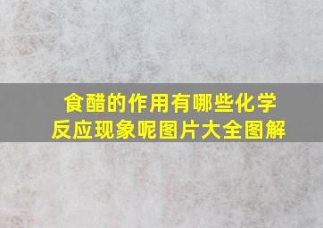 食醋的作用有哪些化学反应现象呢图片大全图解