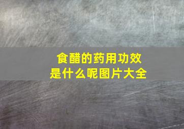 食醋的药用功效是什么呢图片大全