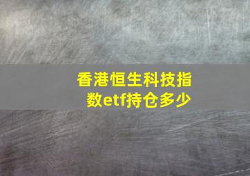 香港恒生科技指数etf持仓多少